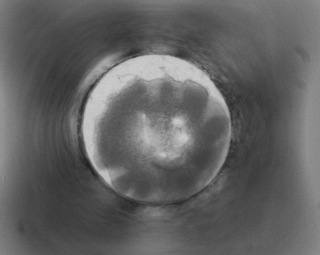 X0000116020341200912312157