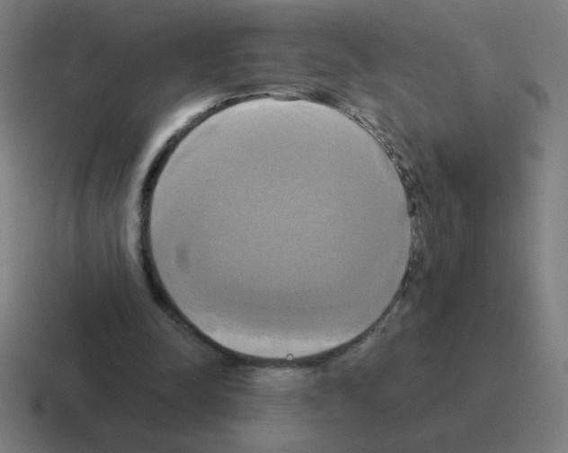 X0000116020342200912312157