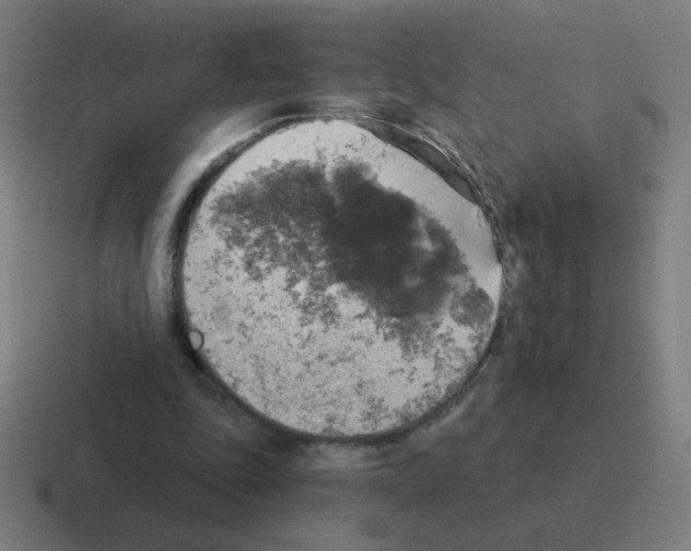 X0000116020343200912312157