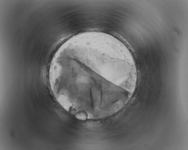 X0000116020345200912312157