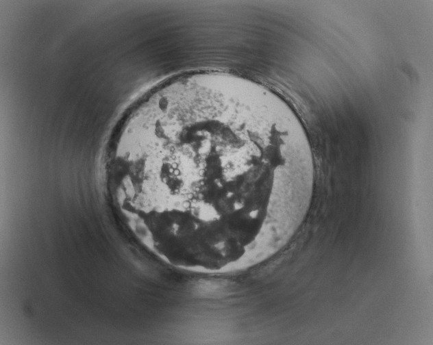 X0000116020346200912312157