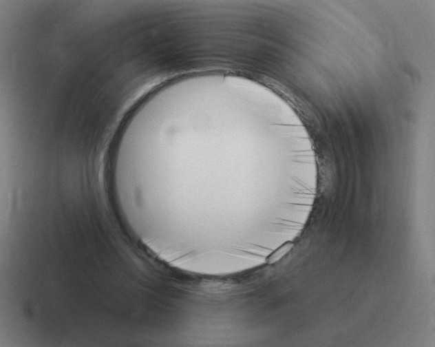 X0000116020350200912312157