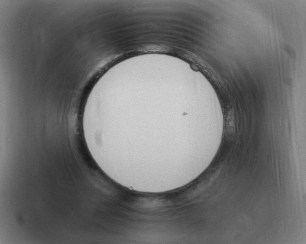 X0000116020351200912312157