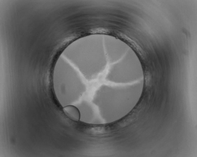 X0000116020353200912312157