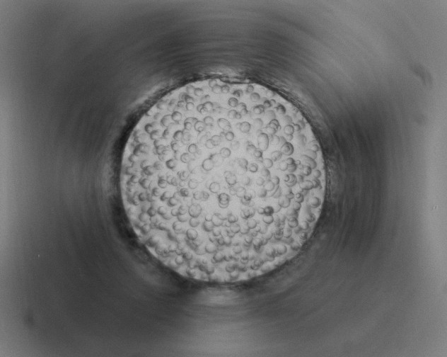 X0000116020354200912312157