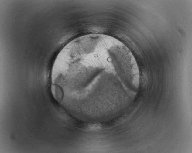 X0000116020355200912312157