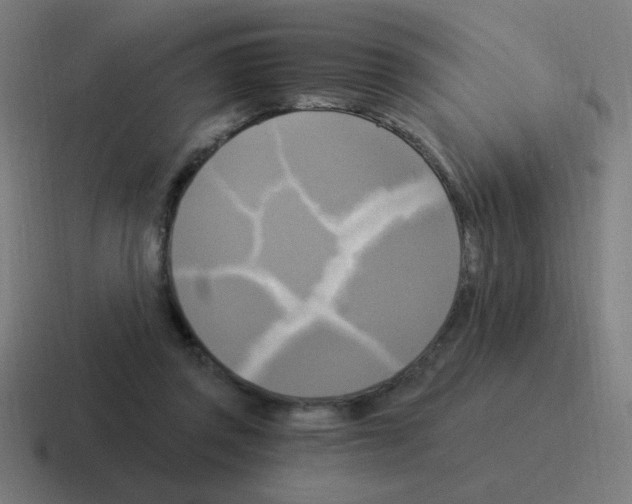 X0000116020357200912312157