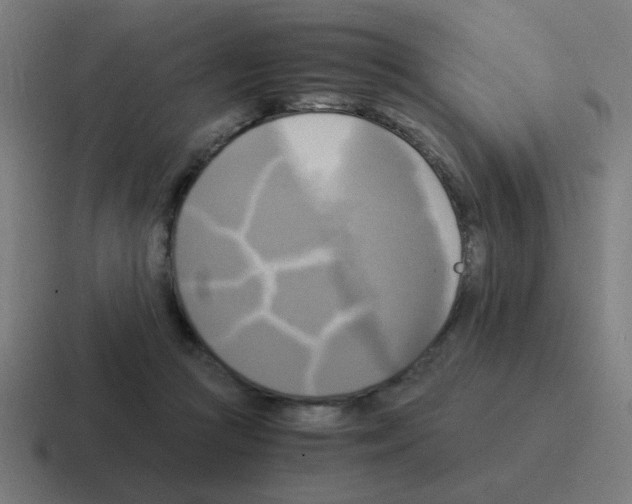 X0000116020361200912312157