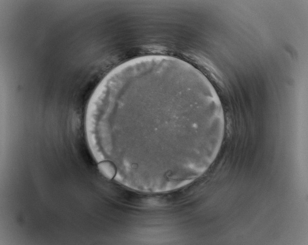 X0000116020365200912312157