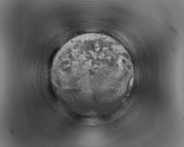 X0000116020366200912312157