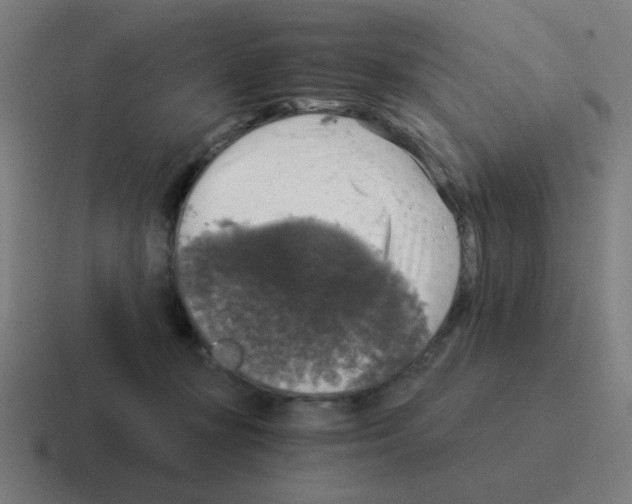 X0000116020367200912312157