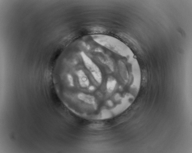 X0000116020369200912312157