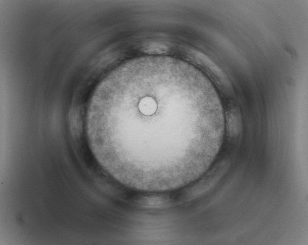 X0000116020370200912312157