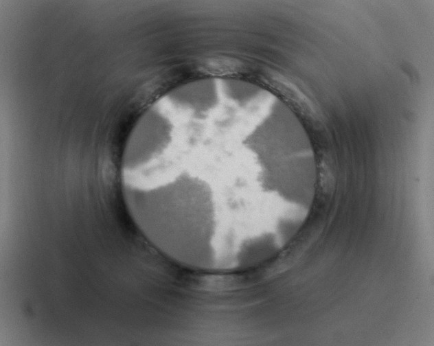 X0000116020371200912312157