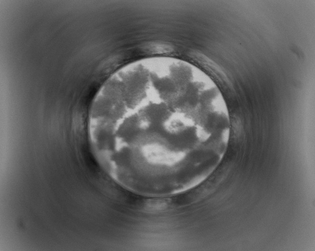 X0000116020373200912312157