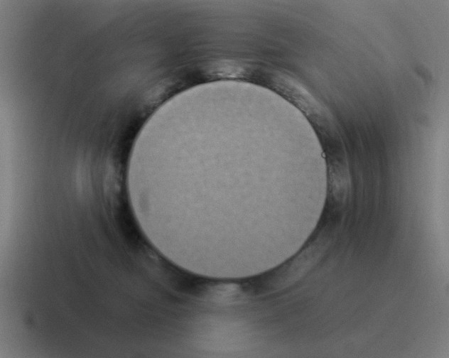 X0000116020374200912312157