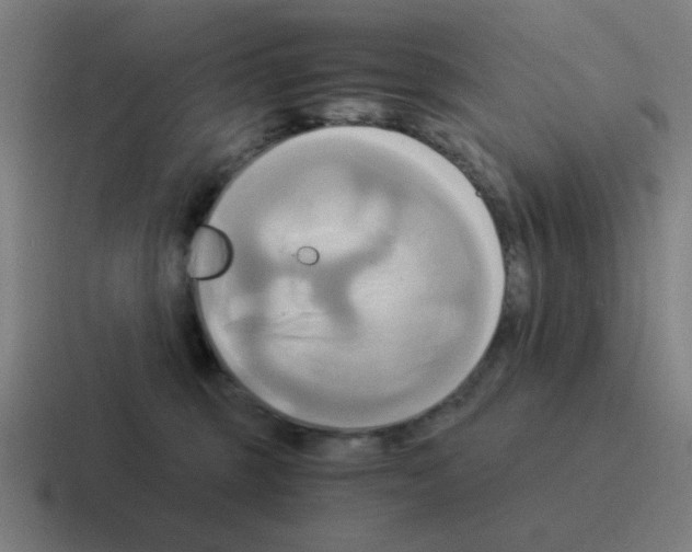 X0000116020375200912312157