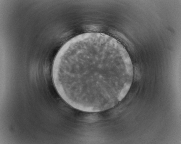 X0000116020377200912312157