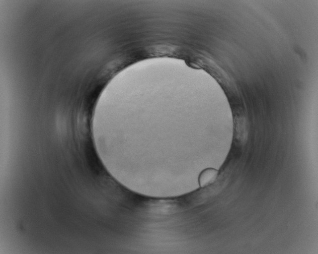 X0000116020378200912312157