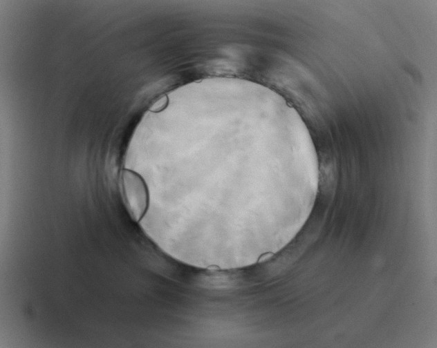 X0000116020381200912312157