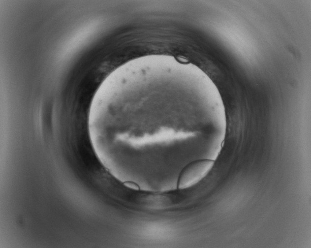 X0000116020383200912312157