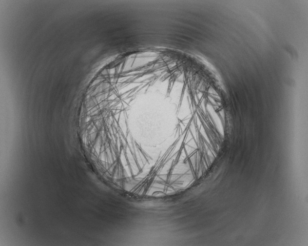 X0000116020385200912312157