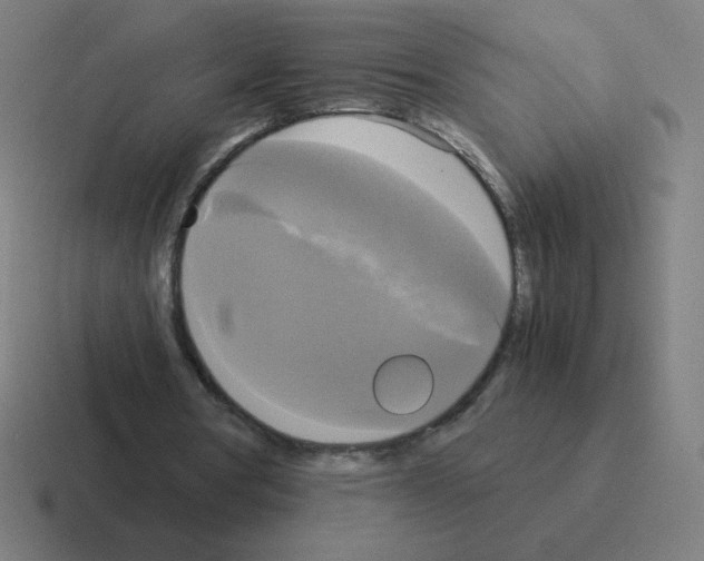 X0000116020386200912312157