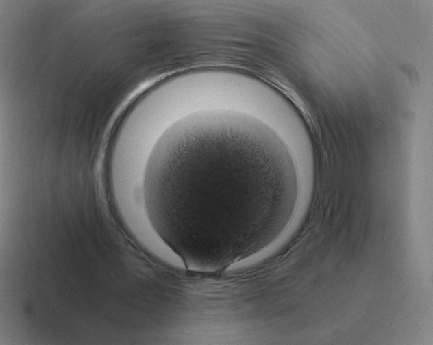 X0000116020387200912312157