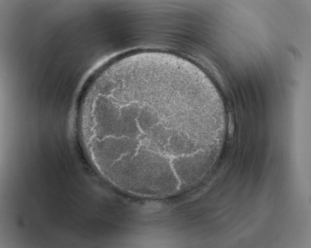 X0000116020388200912312157