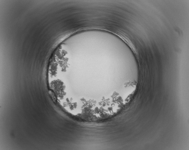 X0000116020389200912312157