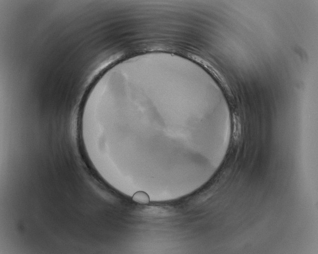 X0000116020390200912312157