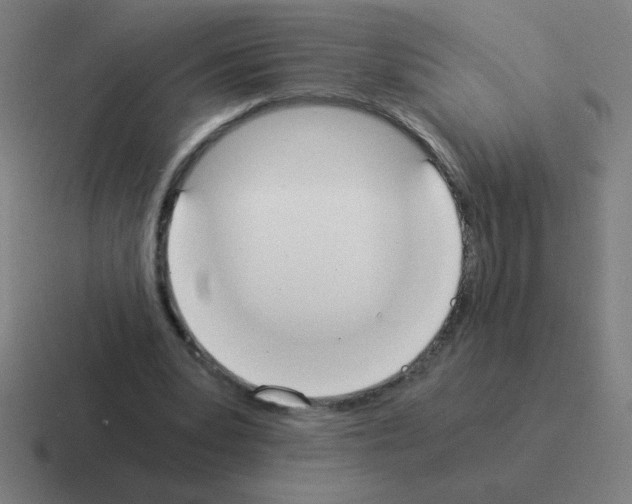 X0000116020391200912312157