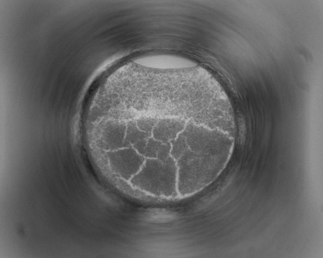 X0000116020392200912312157