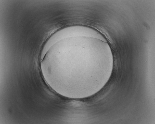 X0000116020393200912312157