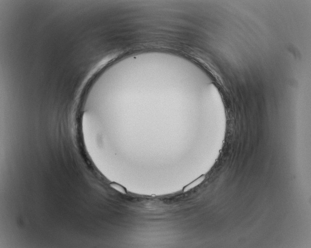 X0000116020395200912312157