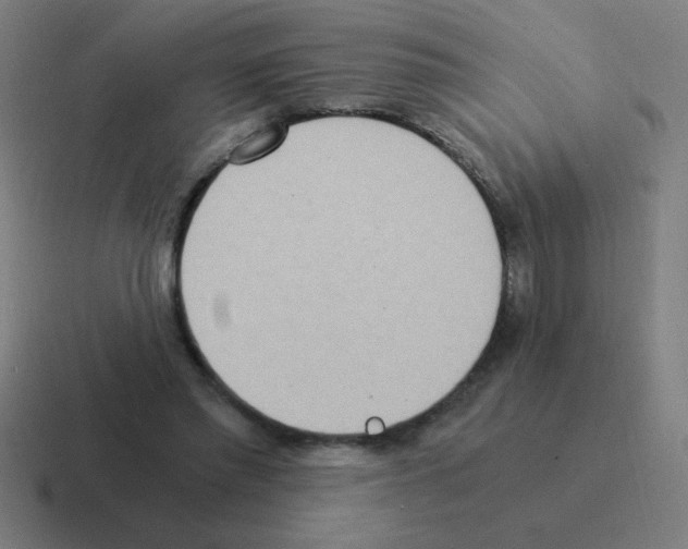 X0000116020397200912312157