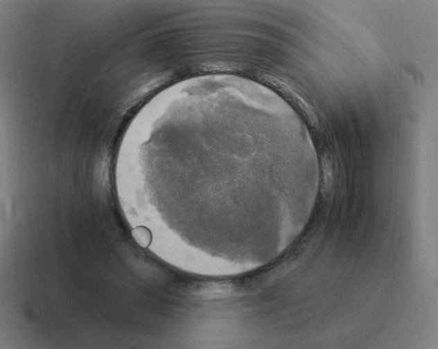 X0000116020398200912312157