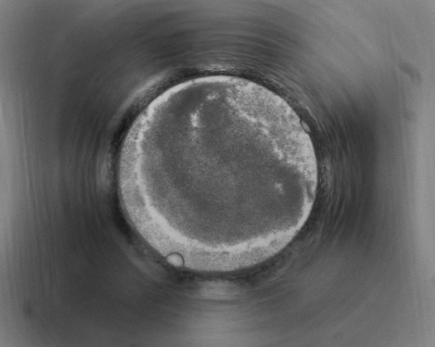 X0000116020400200912312157