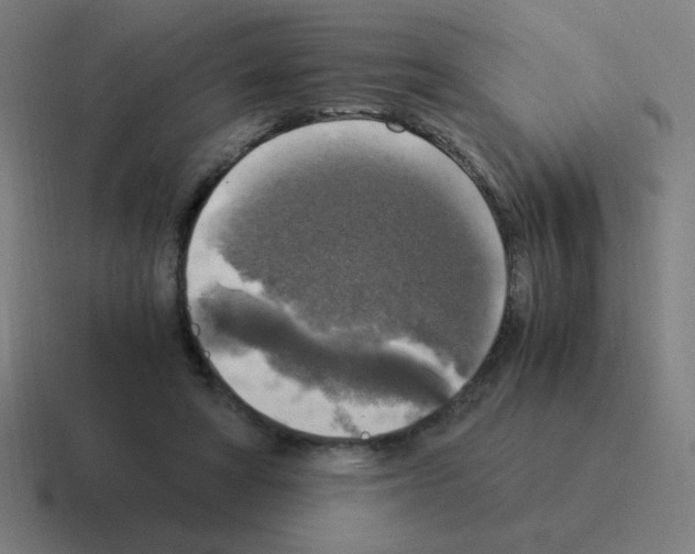 X0000116020402200912312157