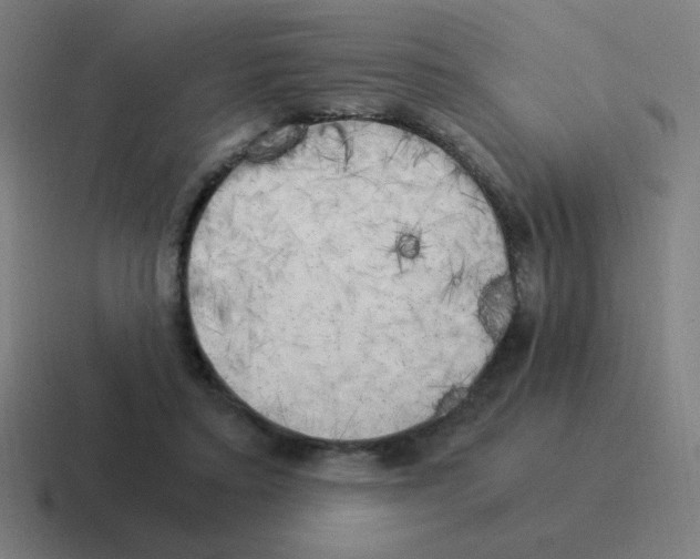 X0000116020403200912312157