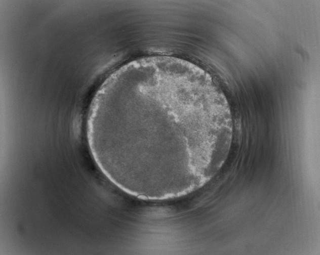 X0000116020404200912312157