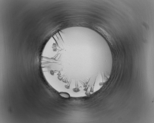 X0000116020405200912312157