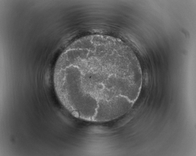 X0000116020408200912312157