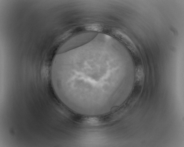 X0000116020409200912312157