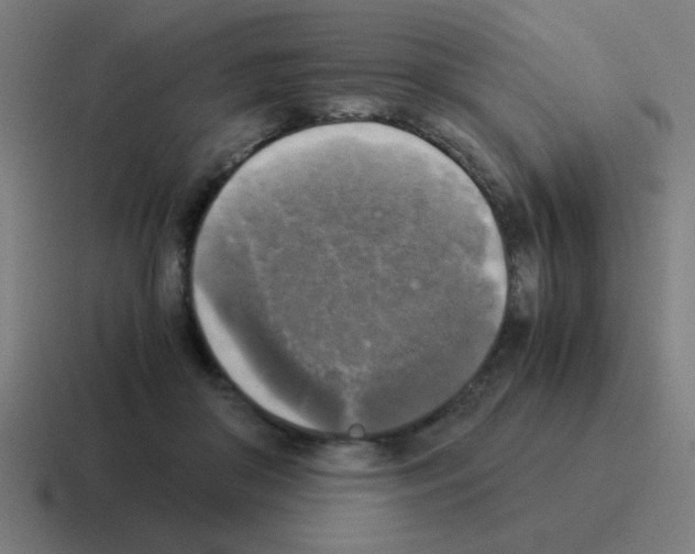 X0000116020410200912312157