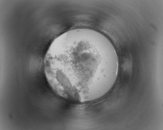 X0000116020411200912312157