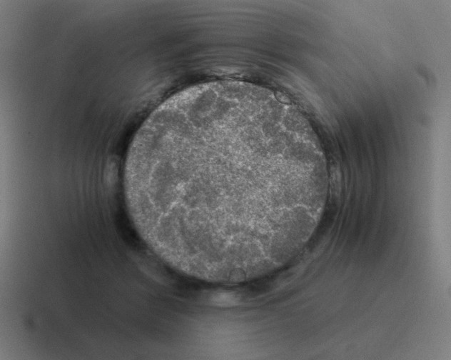 X0000116020412200912312157