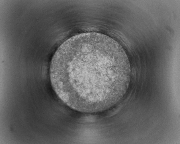 X0000116020416200912312157