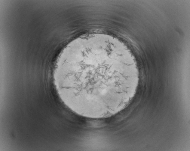 X0000116020417200912312157