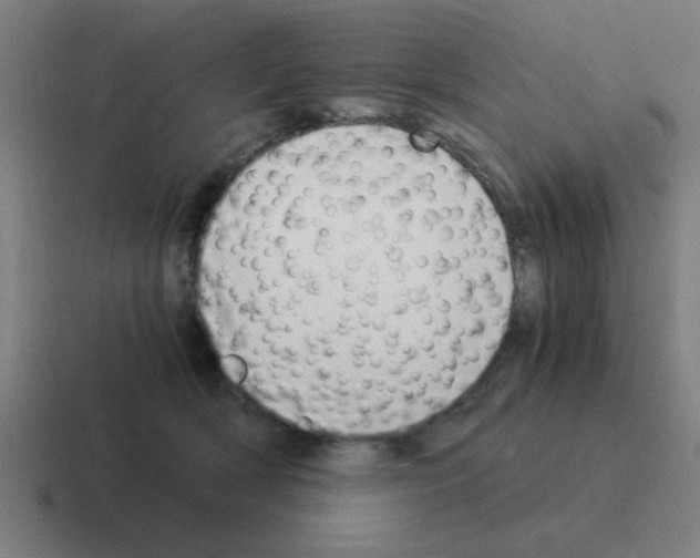 X0000116020418200912312156